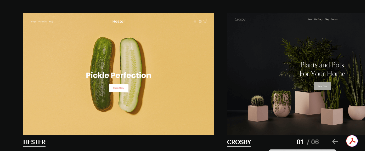 Squarespace Commerce