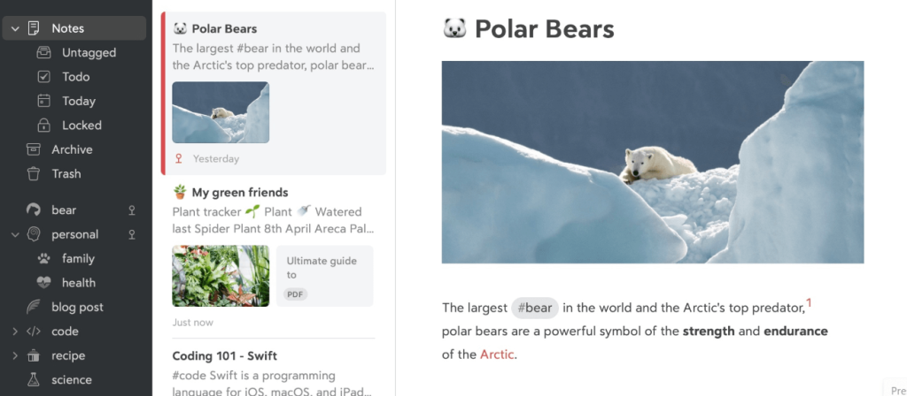 Bear Notes