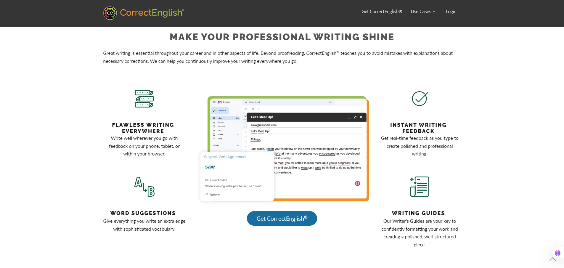 CorrectEnglish-MAKE YOUR PROFESSIONAL WRITING SHINE)