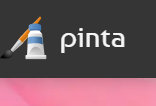 Pinta logo