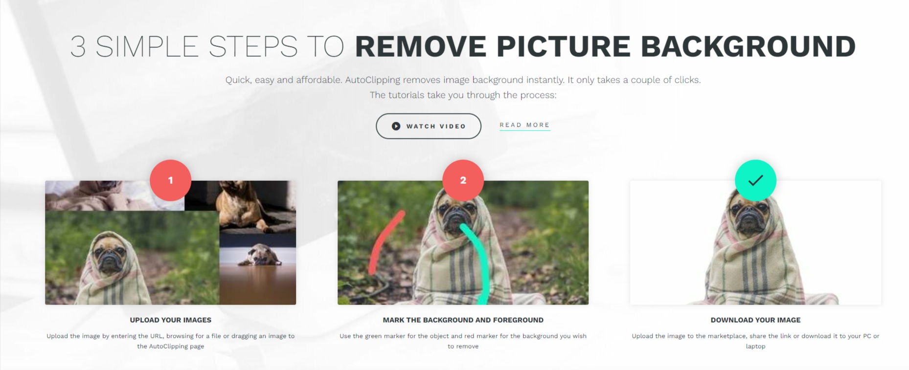 3 SIMPLE STEPS TO REMOVE PICTURE BACKGROUND