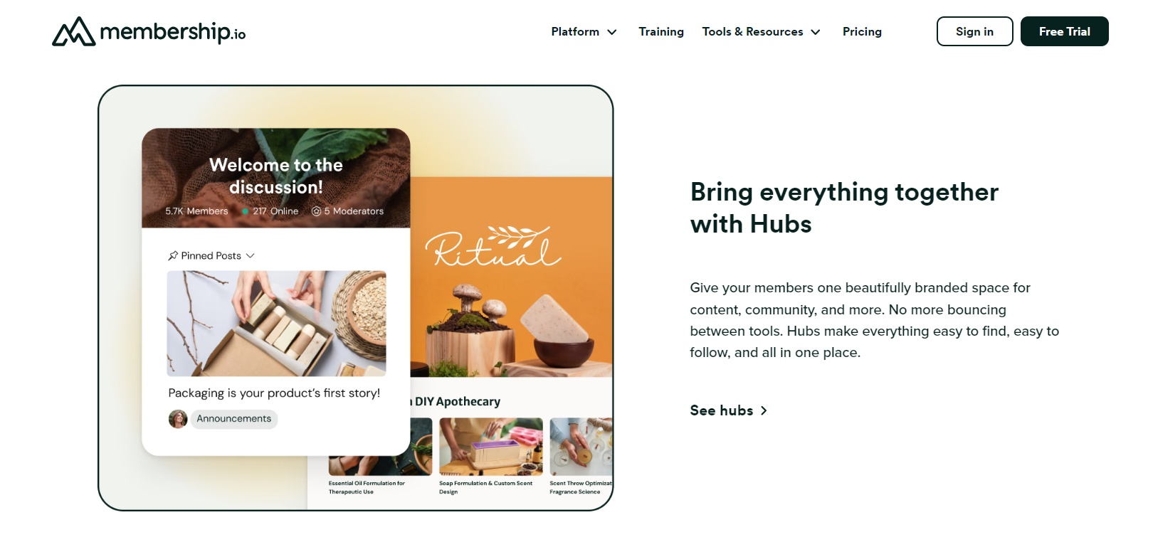 Membership-io-Bring everything together with Hubs-feature image